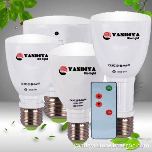 12V DC REMOTE LED BULB